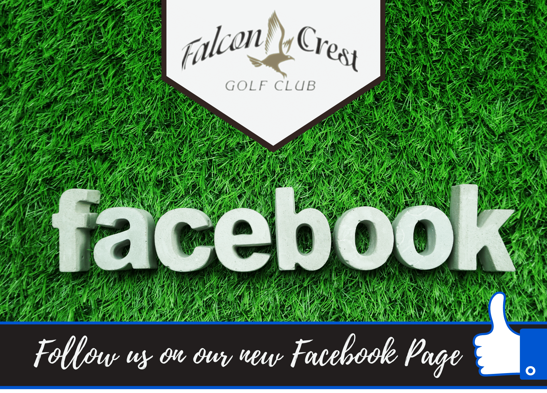Follow Us on Our New Facebook Page 👍